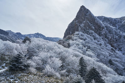 Scenic view of snow covered mountains against sky