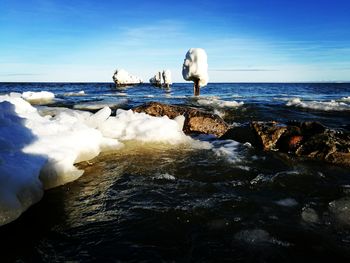 Birds perching on shore against sky