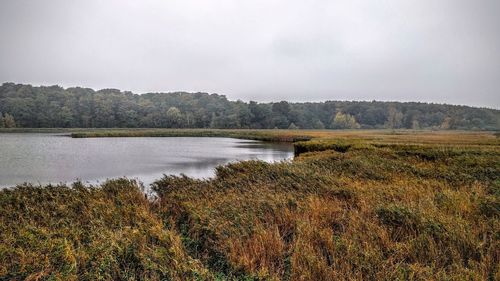 Scenic view of lake against sky