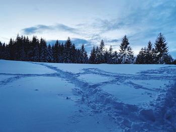 Snow covered land and trees against sky