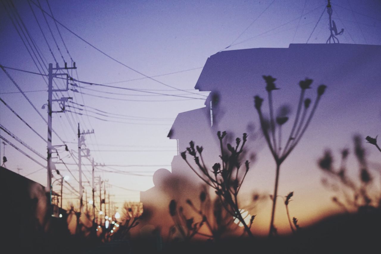 power line, electricity pylon, electricity, sunset, silhouette, clear sky, sky, low angle view, cable, building exterior, power supply, built structure, plant, dusk, technology, focus on foreground, nature, architecture, flower, outdoors