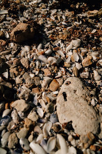 High angle view of stones on rock