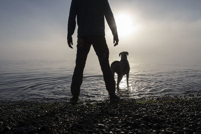 Low section of man with dog at beach