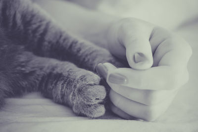 Cropped image of woman hand with cat legs on bed