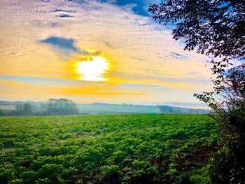 Scenic view of field against sky during sunset