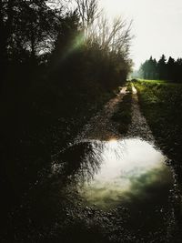 Reflection of trees on field against sky