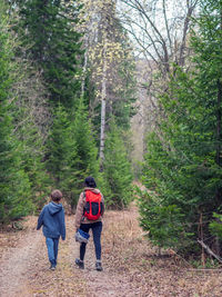 Rear view of man walking in forest