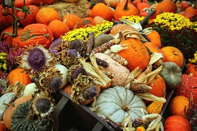 High angle view of pumpkins for sale in market