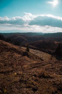 Scenic view of landscape against sky