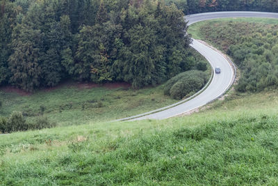 Scenic view of winding road amidst trees
