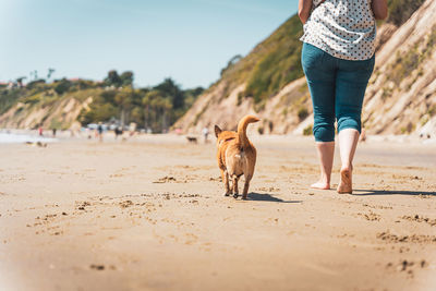 Young woman walks her dog across the shoreline at the beach.