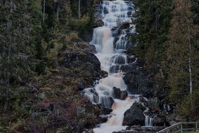 Scenic view of waterfall in forest