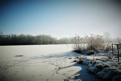 Birds in lake against clear sky