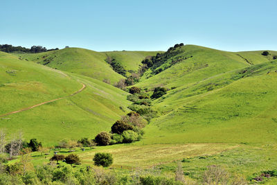 Scenic view of landscape against clear sky