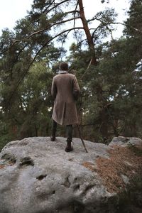 Rear view of man standing on rock in forest