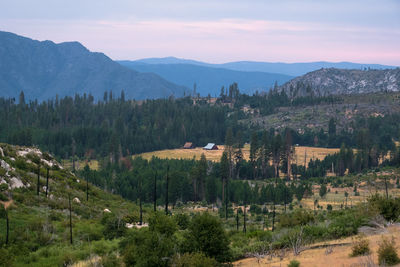 Panoramic shot of trees and buildings against sky