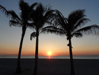 Silhouette palm tree on beach against clear sky at sunset