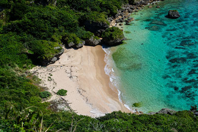 High angle view of sea and trees