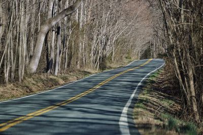 Road passing through forest