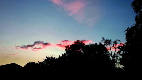 Low angle view of silhouette trees against sky