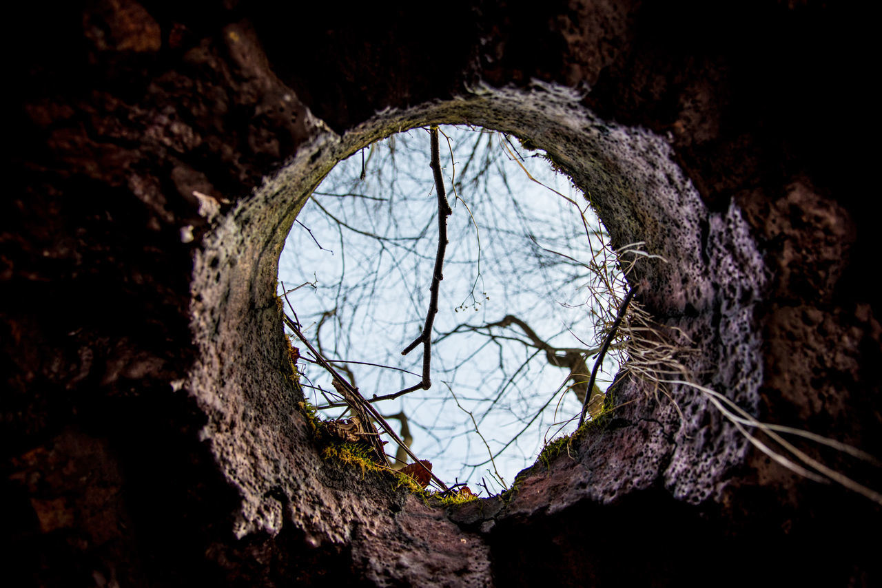 LOW ANGLE VIEW OF BARE TREE SEEN THROUGH HOLE IN WINDOW