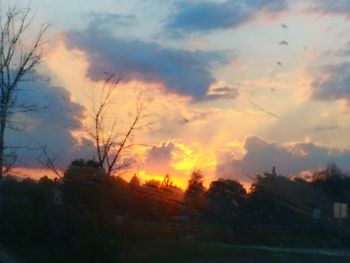 Silhouette trees against sky during sunset