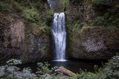 Scenic view of waterfall in forest