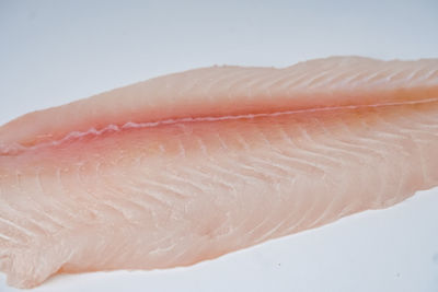 Close-up of fish