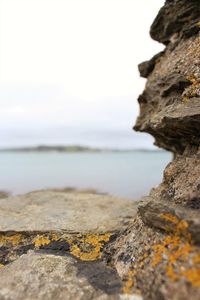 Close-up of rocks at beach against sky