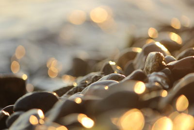 Close-up of sunlight falling on wet stones at lakeshore