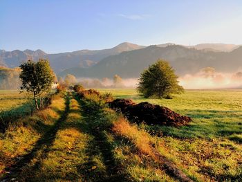 Scenic view of field against sky