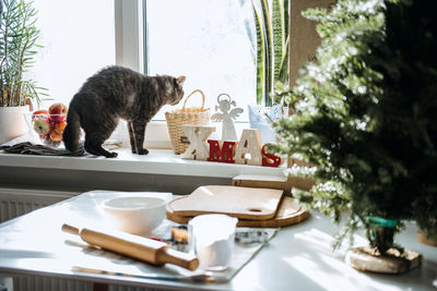 Products and ingredients on kitchen table ready for making christmas gingerbread. lifestyle still