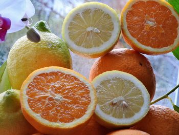 Close-up of oranges on table