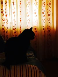 Cat relaxing on bed at home