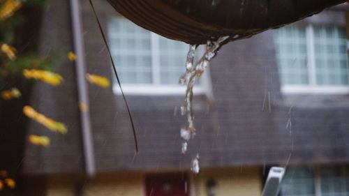 Close-up of water drops on spider web