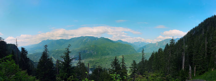 Panoramic view of trees and mountains against sky