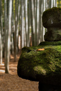 Close-up of stone sculpture