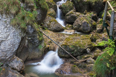 Scenic view of waterfall in forest