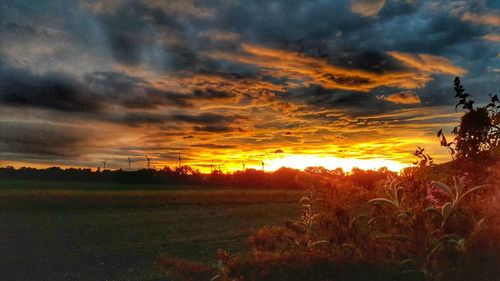 Silhouette plants on field against dramatic sky during sunset