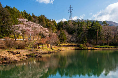 Scenic view of lake by trees against sky