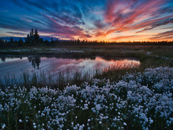 Scenic view of lake against sky during sunset