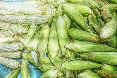 High angle view of corns