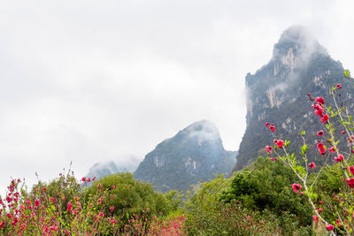 mountain