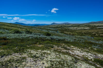 Landscape at smuksjøseter fjellstue, høvringen, norway