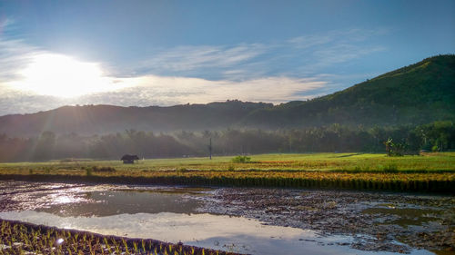 Scenic view of rural landscape