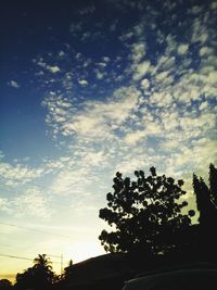 Low angle view of trees against cloudy sky