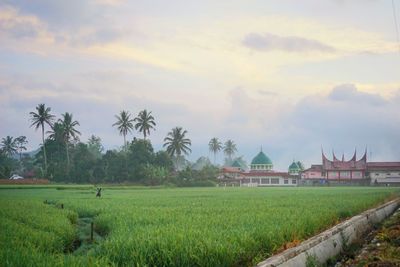 Scenic view of farm against sky