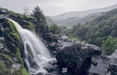 Scenic view of waterfall in forest