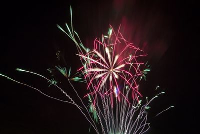 Low angle view of firework display at night