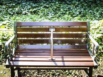 Empty bench in grass